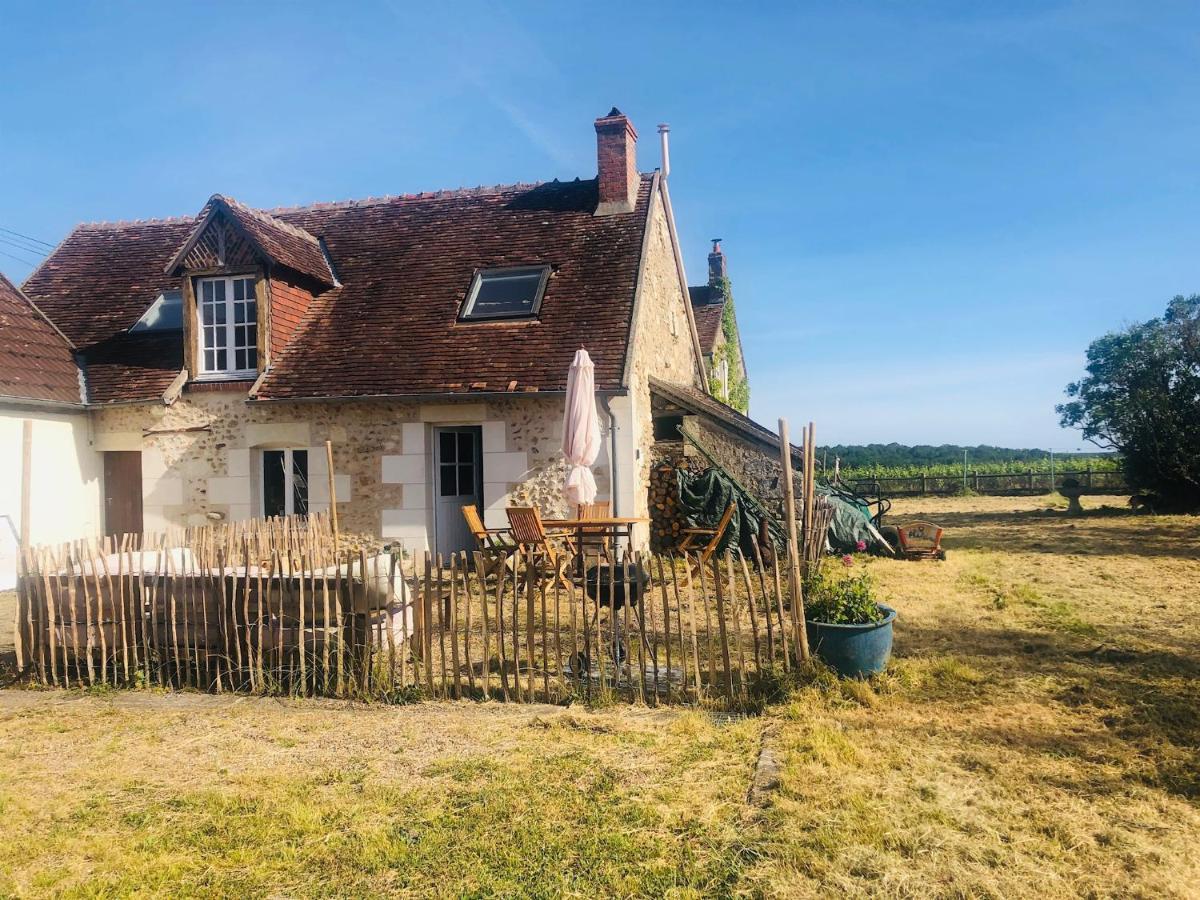 Cote Du Jardin Villa Pouillé Buitenkant foto