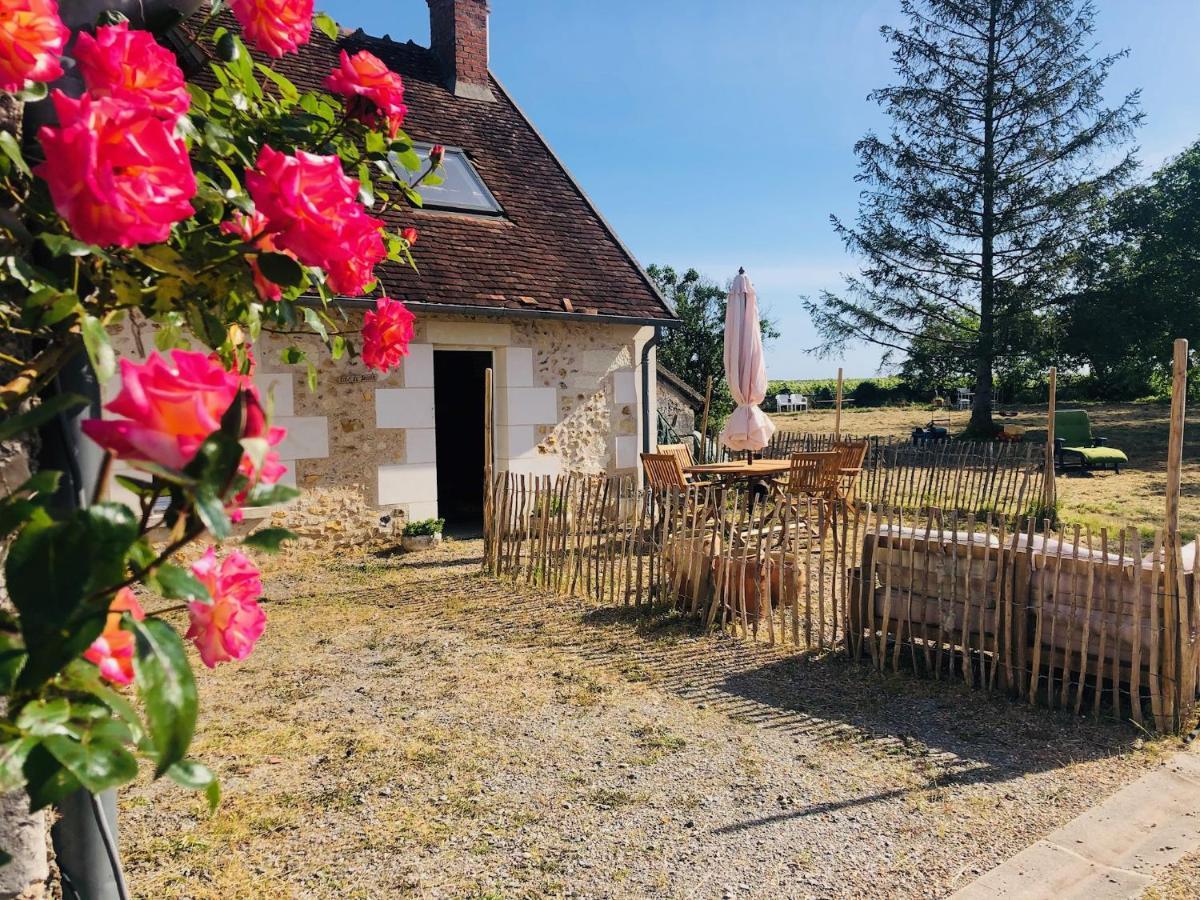 Cote Du Jardin Villa Pouillé Buitenkant foto