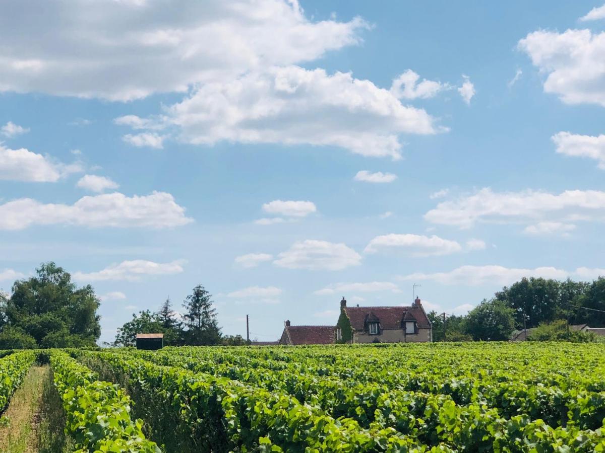 Cote Du Jardin Villa Pouillé Buitenkant foto