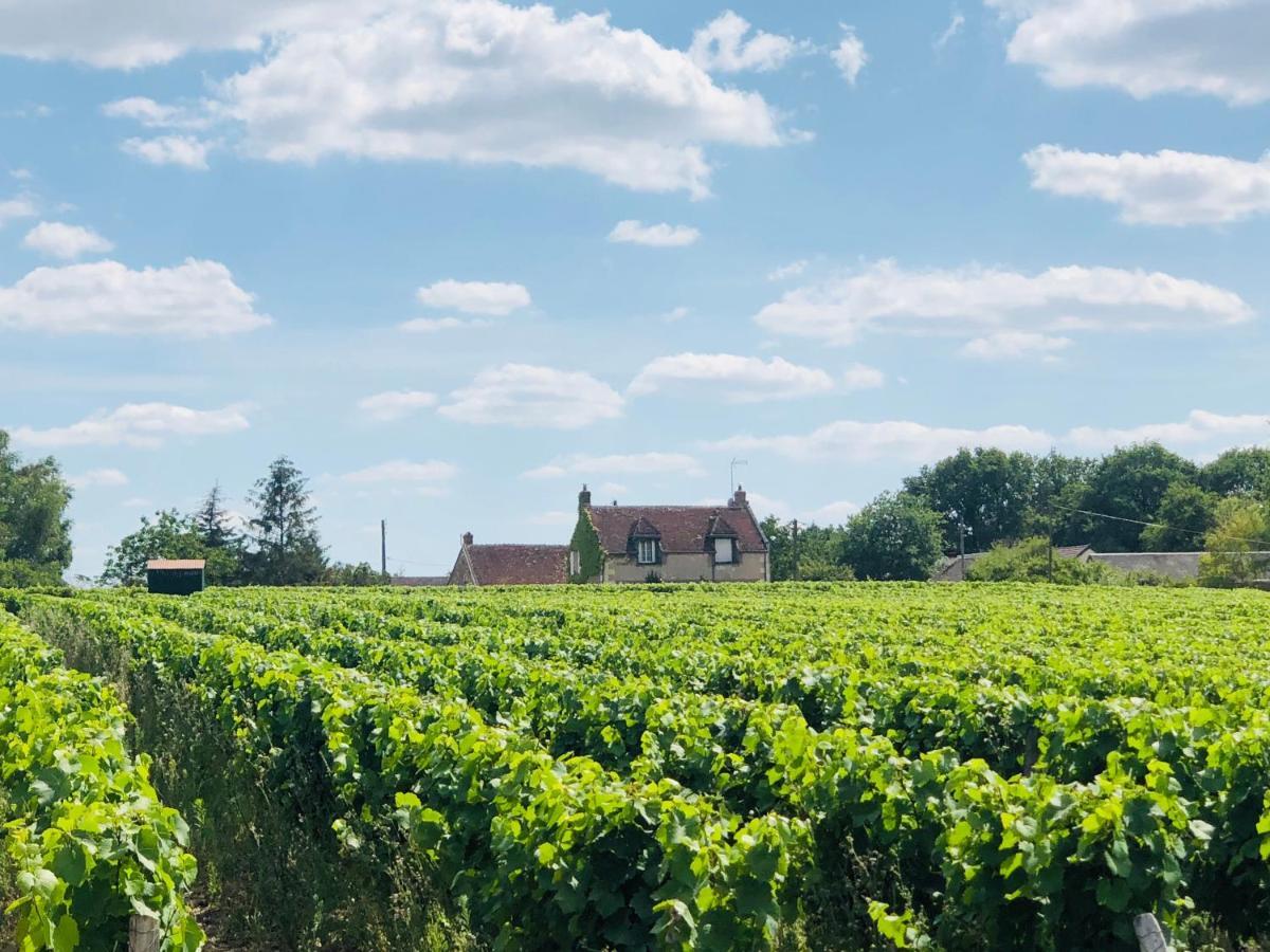 Cote Du Jardin Villa Pouillé Buitenkant foto